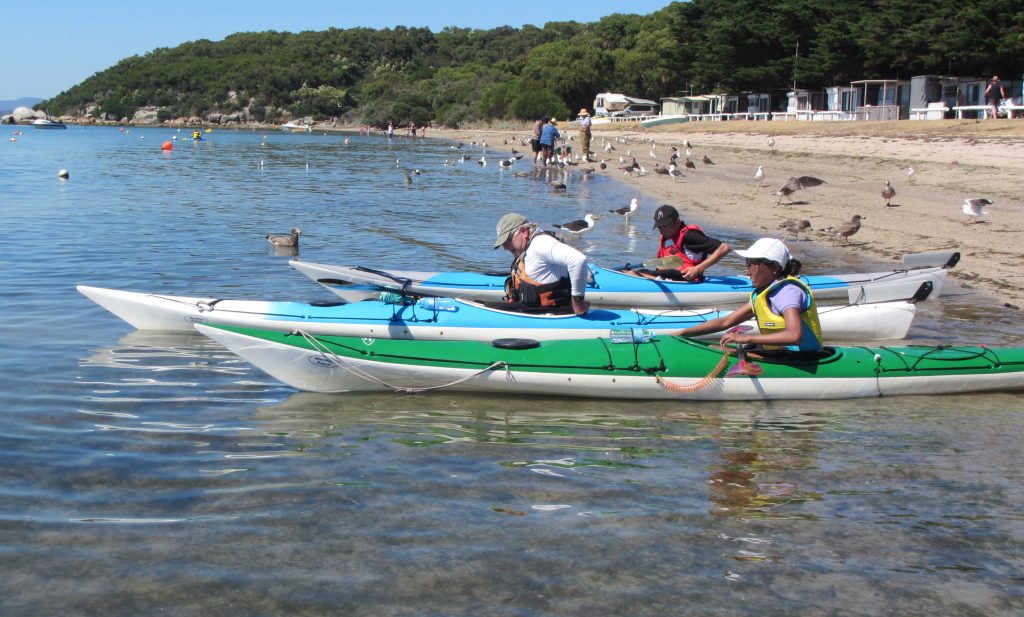 Meridian Kayak Cygnets setting out from Yanakie, Wilsons Prom